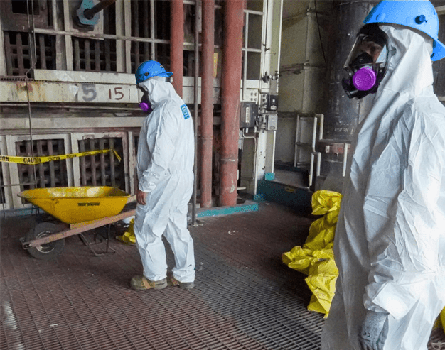 Asbestos abatement and remediation