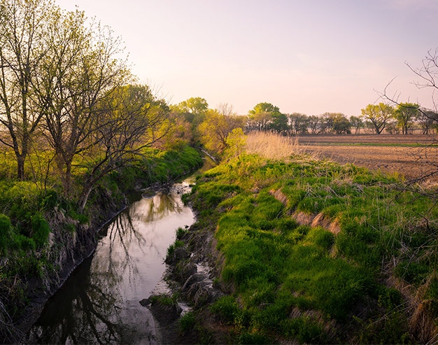 bioremediation